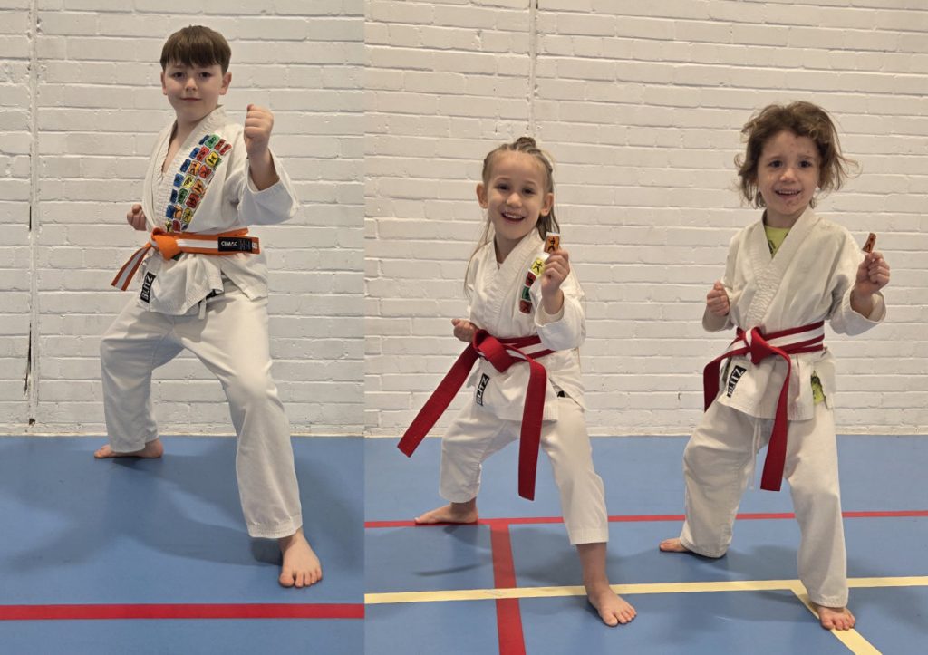 Karate Grading Luton