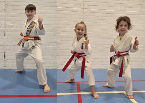 Karate Grading Luton