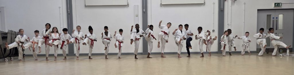 Luton Karate Power Dragons Class