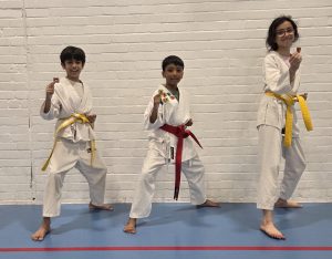 Power Dragons Karate Luton