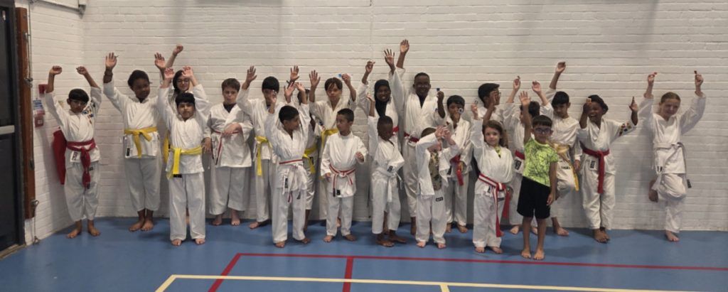 Power Dragons Karate Class