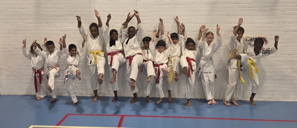 Power Dragons Karate Luton